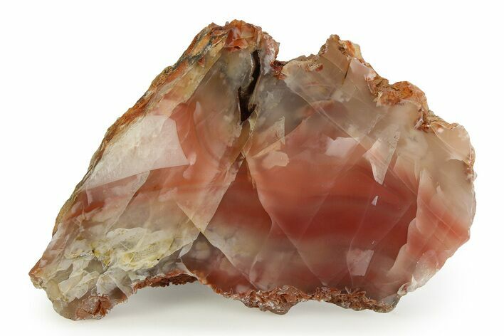 Polished Pilbara Agate Slice - Oldest Known Agate #353180